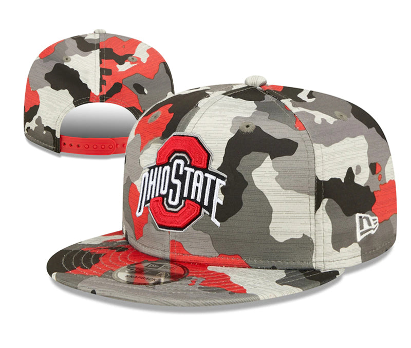 Ohio State Buckeyes Color Camouflage Official New Era Hat product image 1