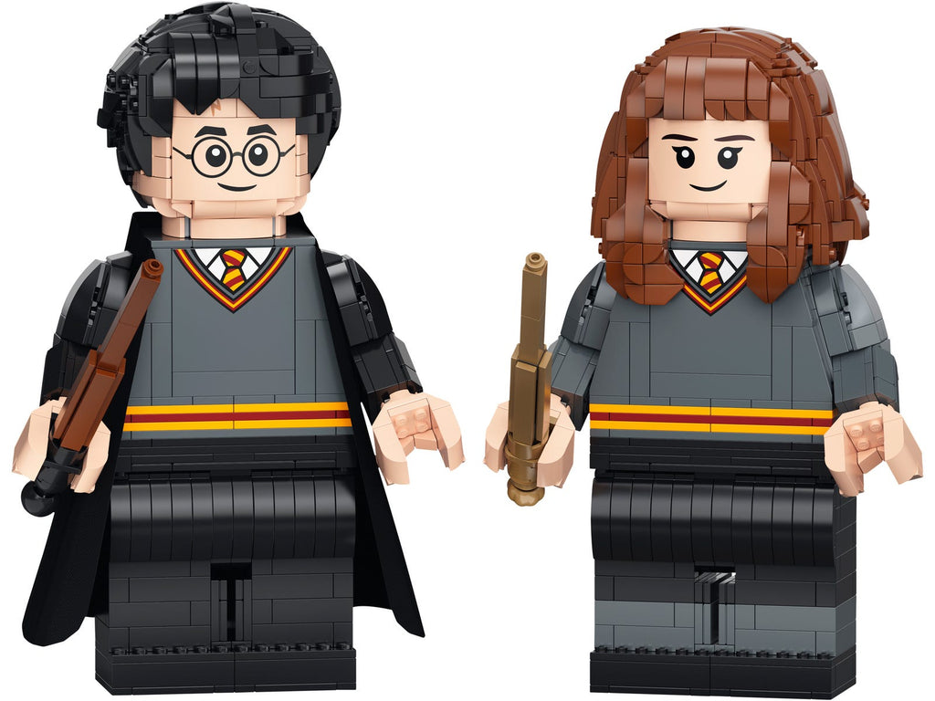 76393 Harry Potter & Hermione Granger (Retired) LEGO Harry Potter product image 2, provided for visual reference and product
