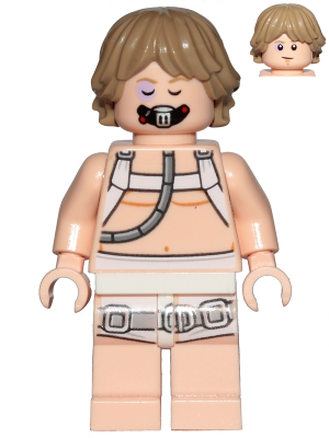 Luke Skywalker (sw0957) product image 1, provided for visual reference and product detail review