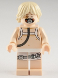 Luke Skywalker (sw0342) product image 1, provided for visual reference and product detail review