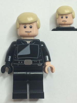 Luke Skywalker (sw0880a) product image 1, provided for visual reference and product detail review